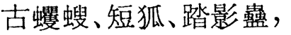 2025-07-16_082834.png