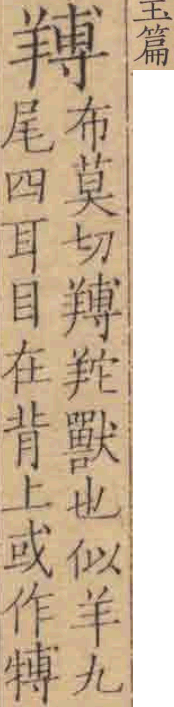 2025-08-21_095202.png