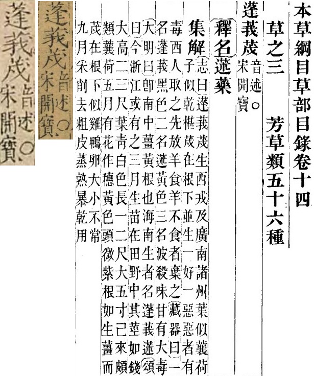 2025-09-08_164001.jpg