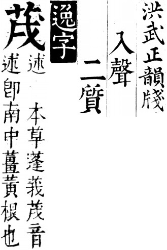 b3.jpg