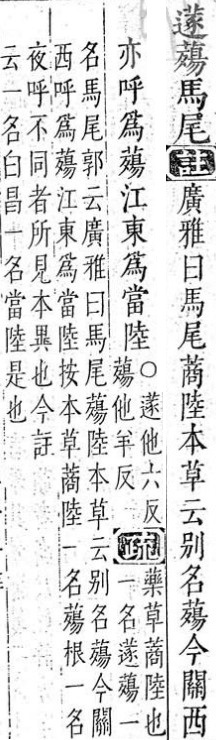 a1.jpg