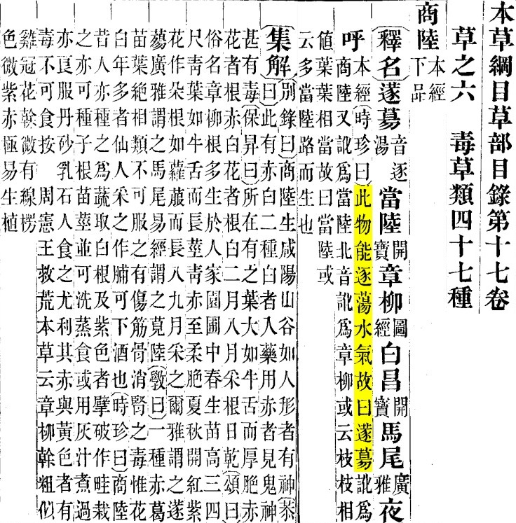 c2.jpg