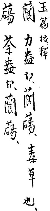 2025-09-22_080533.jpg