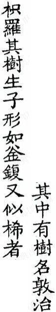 2026-09-10_193359.jpg