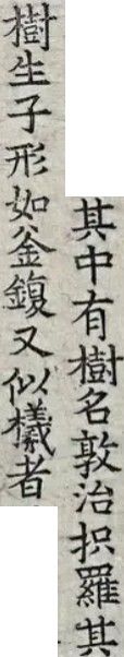 2026-09-10_193236.jpg